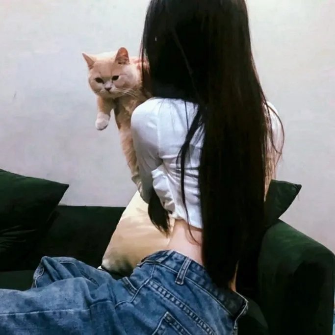 三只小猪3正义大联萌海报