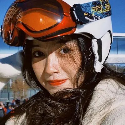 秘密同盟海报