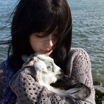 森林进化论海报